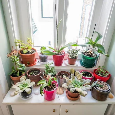 Madragoa Zero Apartment Lissabon