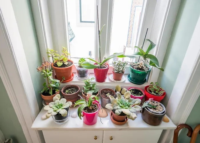 Madragoa Zero شقة Lisboa